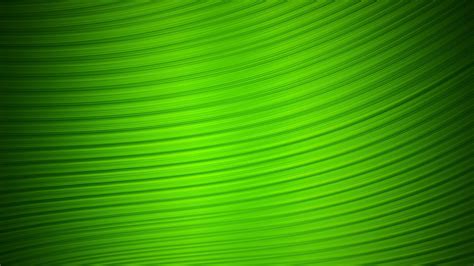 Green Colour Wallpapers Wallpaper Cave