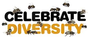Celebrate Diversity Bees Clothing Honey Apiarist Bee Keepers Shirt