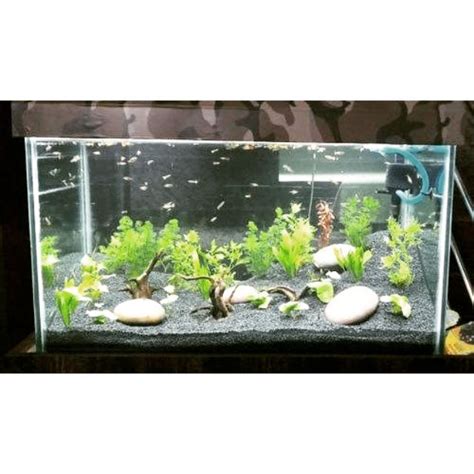 Check out our aquarium tank selection for the very best in unique or custom, handmade pieces from our aquariums & tank décor shops. YnZ* OFFER!!! Crystal Clear Glass Aquarium Fish Tank ...