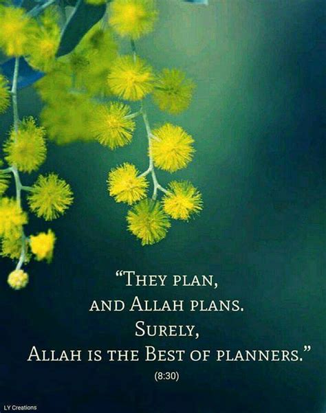 They Plan And Allah Plans Islam Religion Quran Verses Holy Quran