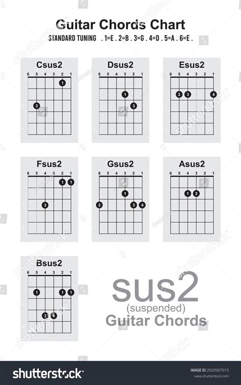 Guitar Chords Csus2 Dsus2 Esus2 Fsus2 Stock Vector Royalty Free