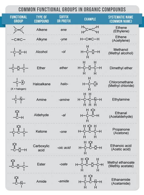 Phospholipids are an important class of biomolecules. Chem-005-F02-4-2-1.jpg (885×1200) | Functional groups ...