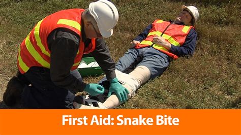 First Aid Snake Bite Safety Training Video Youtube