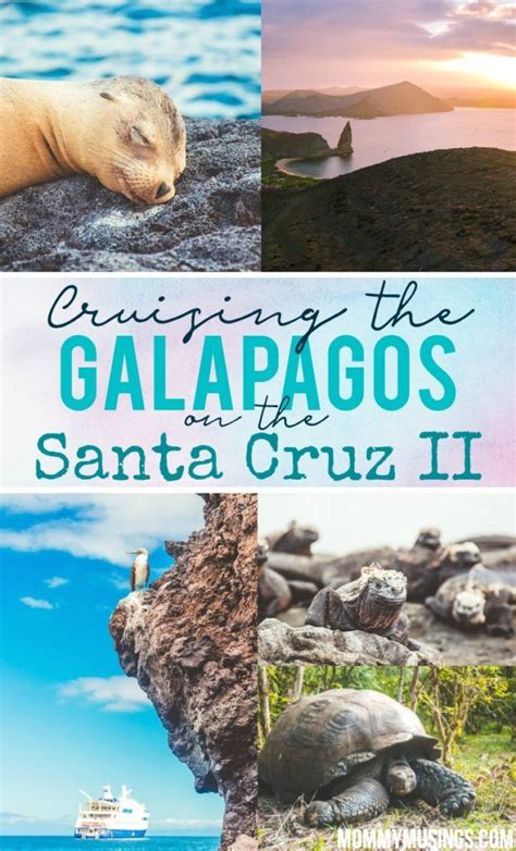 Galapagos Islands Cruise Galapagos Islands Travel Galapagos Travel