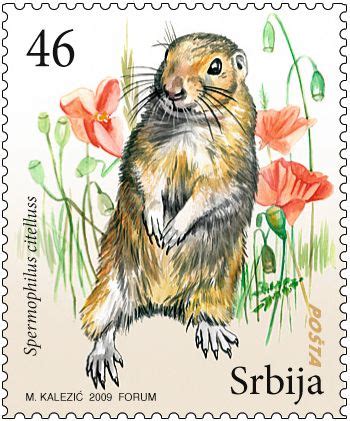 Can you walk as far as a tiger, leap like a lemur or balance like a flamingo? Post Serbia - Philately - Commemorative postage stamps ...