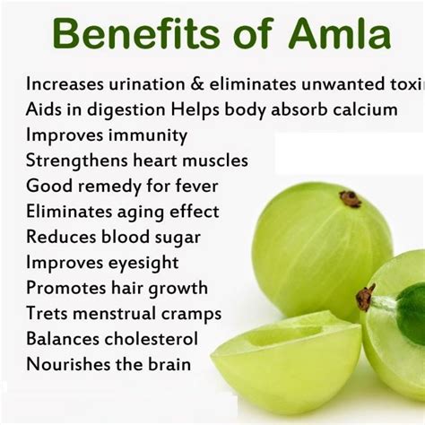 Health Benefits Of Amla Health And Nutrition Health Help Digestion