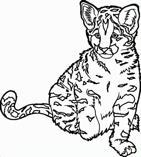 Wild Animal Coloring Pages Wild Animal Coloring Pages New Animals