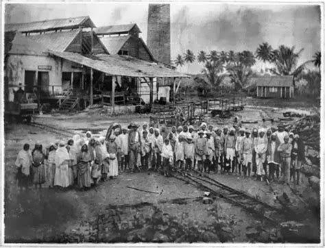 indian fijian genealogy