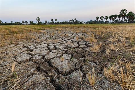 Despite Pm Modis Assurance Land Degradation Desertification Increasing