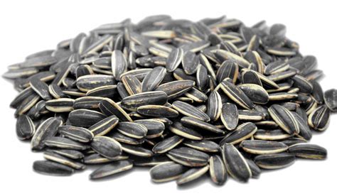 White Sunflower Seeds Png Pnglib Free Png Library