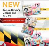 Requirements For Md Driver''s License Pictures
