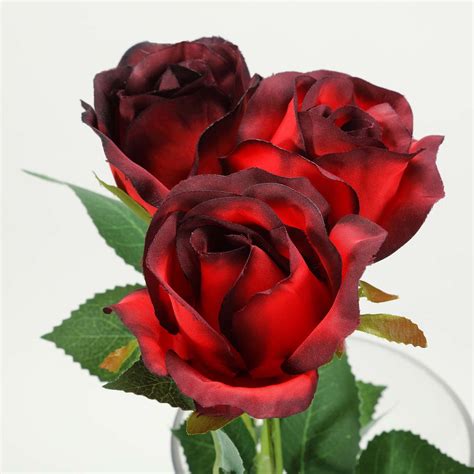 24 Pcs Redblack Artificial Long Stem Silk Rose Flowers With Green