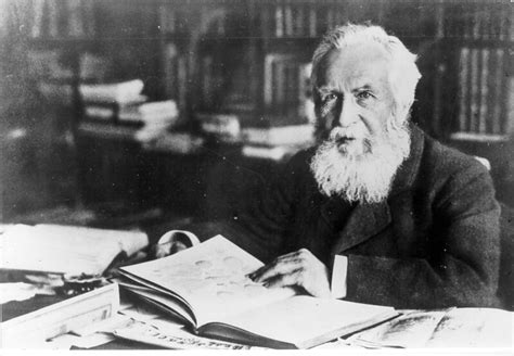 Lemo Biografie Biografie Ernst Haeckel