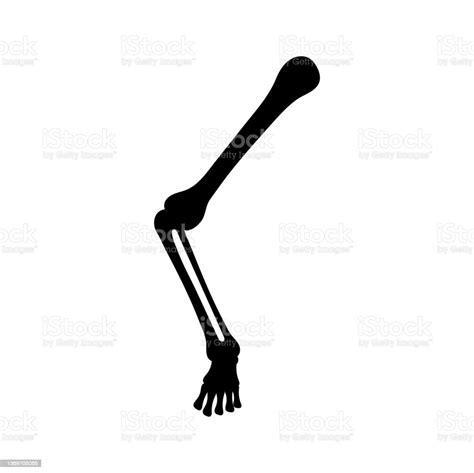 Leg Bones Icon Design Template Vector Isolated Stock Illustration