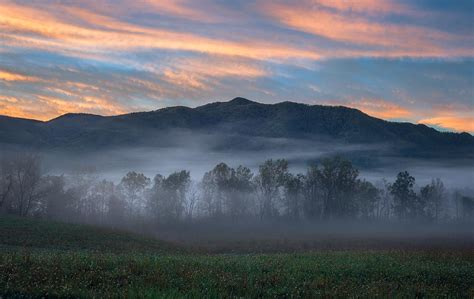 A Foggy Morning In Cades Cove Great Smoky Mountains National Park Oc
