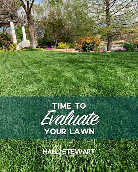 Blog — Hall Stewart Lawn And Landscape