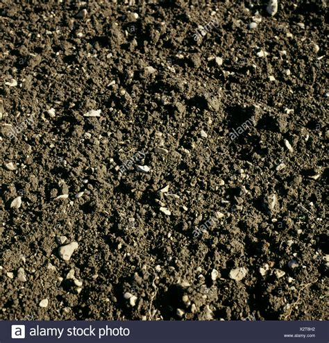 Loam Soil High Resolution Stock Photography And Images Alamy