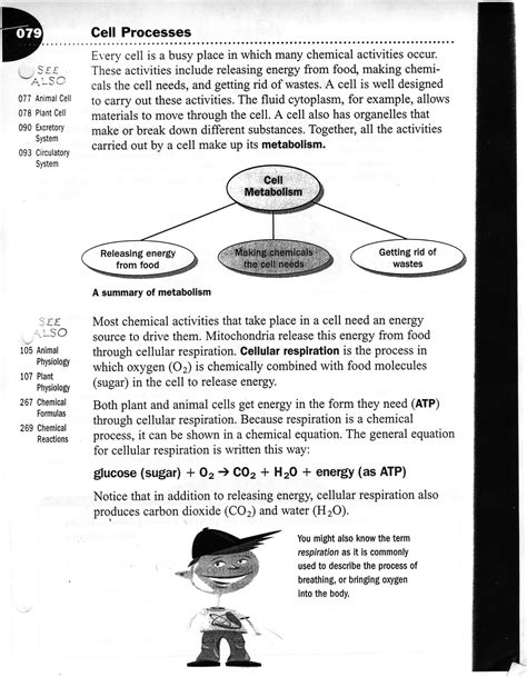 Energy conversions answer key vocabulary: 31 Cell Structure And Processes Practice Worksheet - Worksheet Data Source