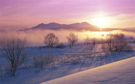 Wallpaper Snow Fog Winter Hokkaido Japan Desktop