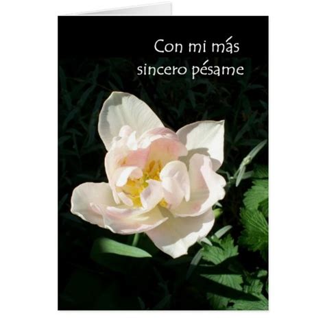 Tulip Sympathy Card Spanish Greeting Zazzle