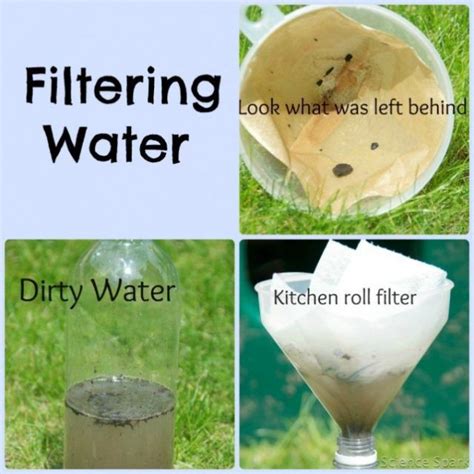 Homemade Water Filter Science Project Environmental Science