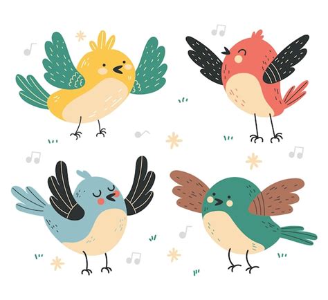 Diferentes Tipos De Aves Ilustración De Diseño Gráfico De Dibujos
