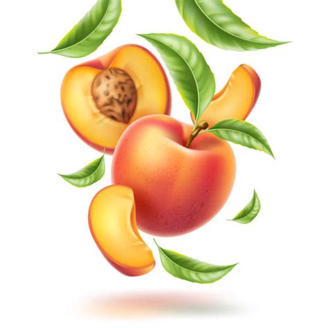 Peach Slices Illustrations Royalty Free Vector Graphics And Clip Art