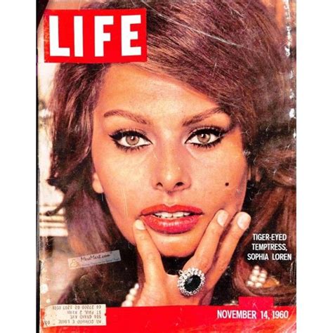 Cover Print Of Life Magazine November 14 1960 Sophia Loren Photo