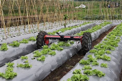 The Future Of Farming Agribots Leading The Revolution The University