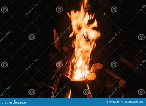 Beautiful Fire In The Forest On A Black Background Stock Image Image