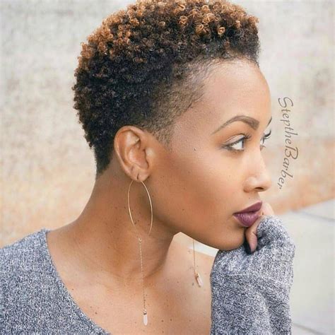 Pin By Dianne Johnson On Short Hairstyles In 2020 Natural Hair Styles