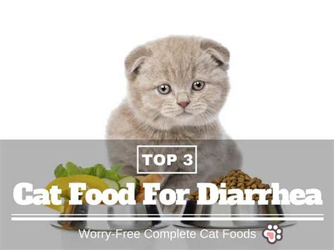 Best Cat Food For Diarrhea 3 Worry Free Complete Cat Foods Tinpaw