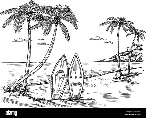 Hand Drawn Surf Paradise Sketch Palm Trees Surfboard And Tropical
