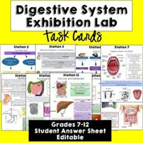 ● next, the nutrients move into. Science Resources for Middle School Teachers on Pinterest | Power Poi…