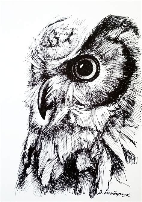 Owl Drawing Original Painting Art See More In My Shop I Am Victor