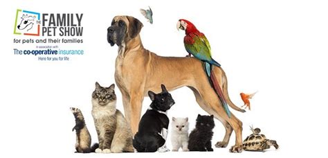 The family pet, whether it be a dog, a cat, a bird, or a fish needs someone to take care of them. The Family Pet Show 2015 - Smooth North West
