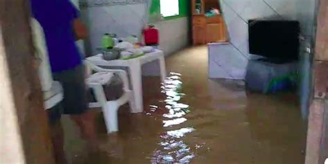 Após Fortes Chuvas Córrego Transborda E Inunda Mais De 50 Casas Na Baixada Da Sobral