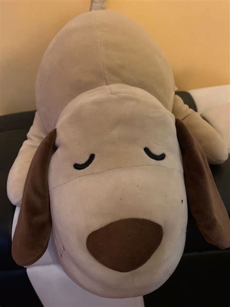 Miniso Brown Dog Cute Puppy Plushie Plush Stuffed Toy Medium