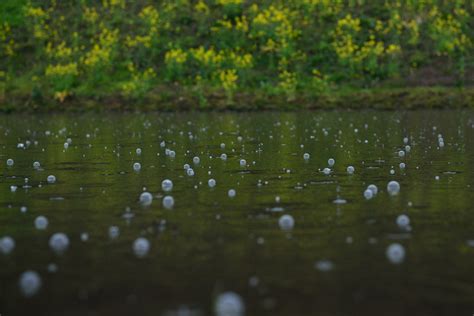 クリヤマ Via 雨粒の造形の写真画像 写真id3329358 写真共有サイトphotohito