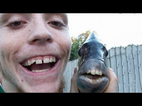 Fish With Human Teeth Youtube