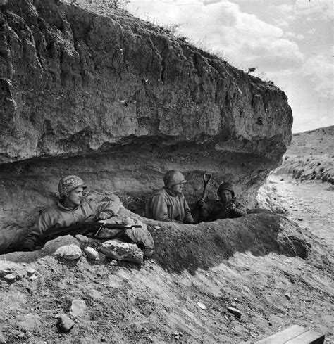 World War Ii Rare And Classic Photos From The North African Campaign