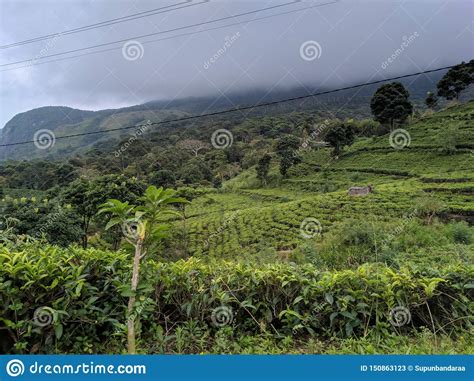 Natural Beauty Of Sri Lanka Stock Image Image Of