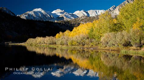 Bishop Creek Canyon Fall Colors Natural History Photography Blog