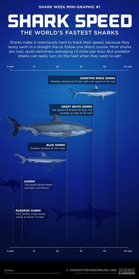 Top 10 Interesting Infographics About Our Oceans Page 8 Of 10