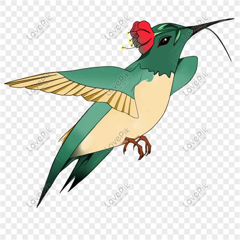 Dan dari segi temanya pun gambar kartun karikatur keren juga bervariatif seperti menggankat tema. Gambar Burung Lovebird Kartun Lucu - Gambar Burung