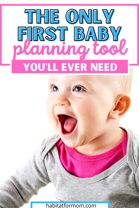 The Best Pregnancy Planner For First Time Pregnancy An Honest Review