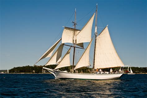 Filewhite Sailing Boat Wikimedia Commons