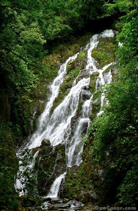 El Chorro Waterfalls Costa Rica Waterfall Water Costa