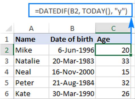 Cara Menghitung Umur Di Excel Menggunakan Rumus Fungsi Excel Gambaran
