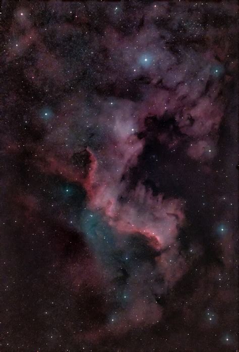 Cygnus Images First Light For Sw Quattro 150p Imaging Deep Sky